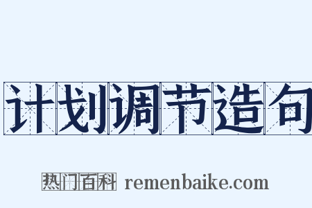 计划调节造句是什么意思的图片